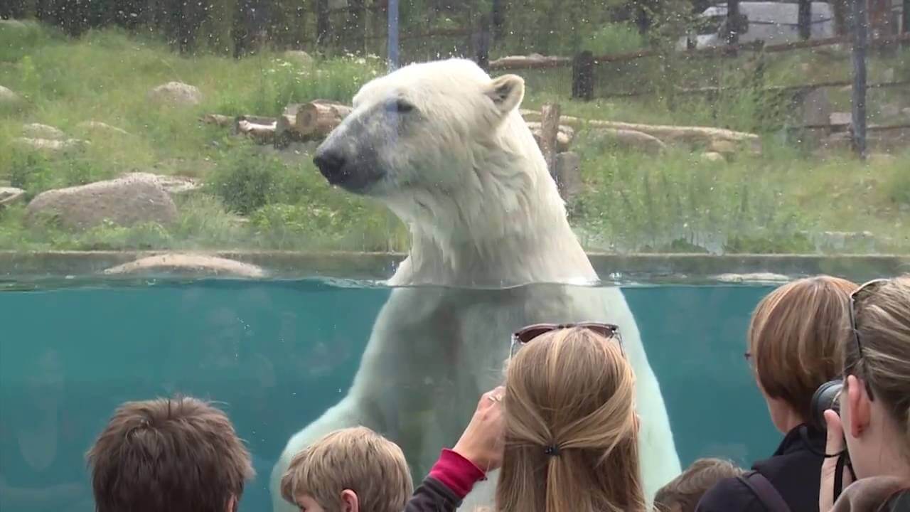 Parc zoologique de Mulhouse accessible facilement en taxi Mulhouse WiTaxi